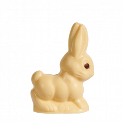 LAPIN PETIT COUREUR...
