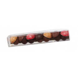 REGLETTE 6 CHAMPIGNONS