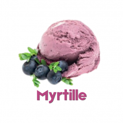 BARQUETTE SORBET MYRTILLES...