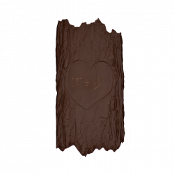 TABLETTE ECORCE CHOCOLAT NOIR 