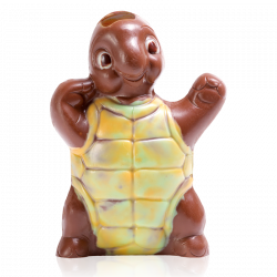 FRANCK LA TORTUE