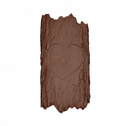 TABLETTE ECORCE CHOCOLAT AU...