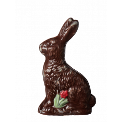 LAPIN GUETTEUR  