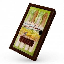 ASPERGES D'ALSACE