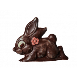 LAPIN COQUET 