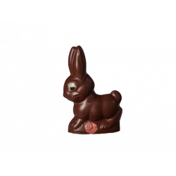 LAPIN PETIT COUREUR 